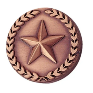 Bronze Star Pin