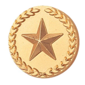 Gold Star Pin