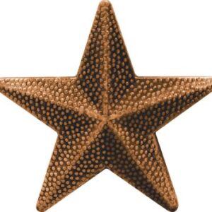 Raised Bronze Star Pin