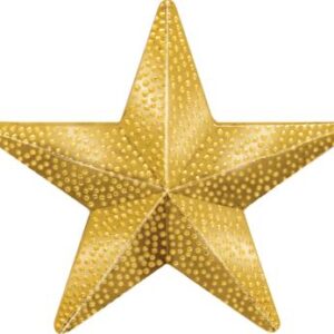 Raised Gold Star Pin