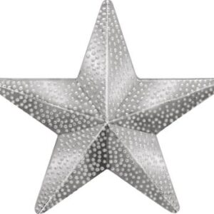 Raised Silver Star Pin