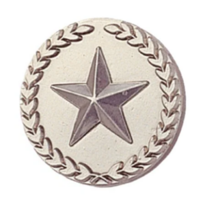 Silver Star Pin